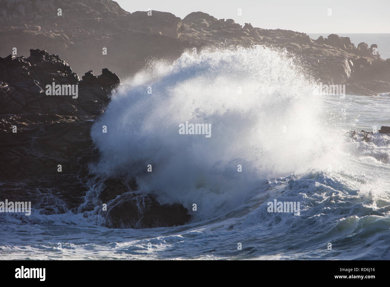 Vagues puissantes de l'océan pacifique contre l'écrasement, la Californie du nord des rocheuses pittoresques côte à Sonoma. Banque D'Images