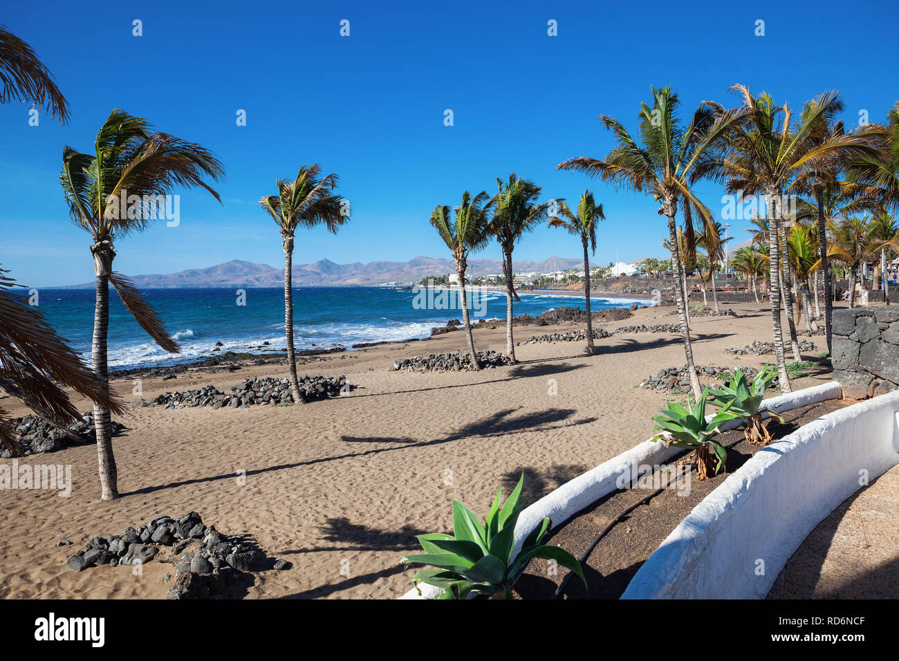 Plage de Puerto del Carmen à Lanzarote, îles canaries, espagne. bleu de la mer, des palmiers, selective focus Banque D'Images