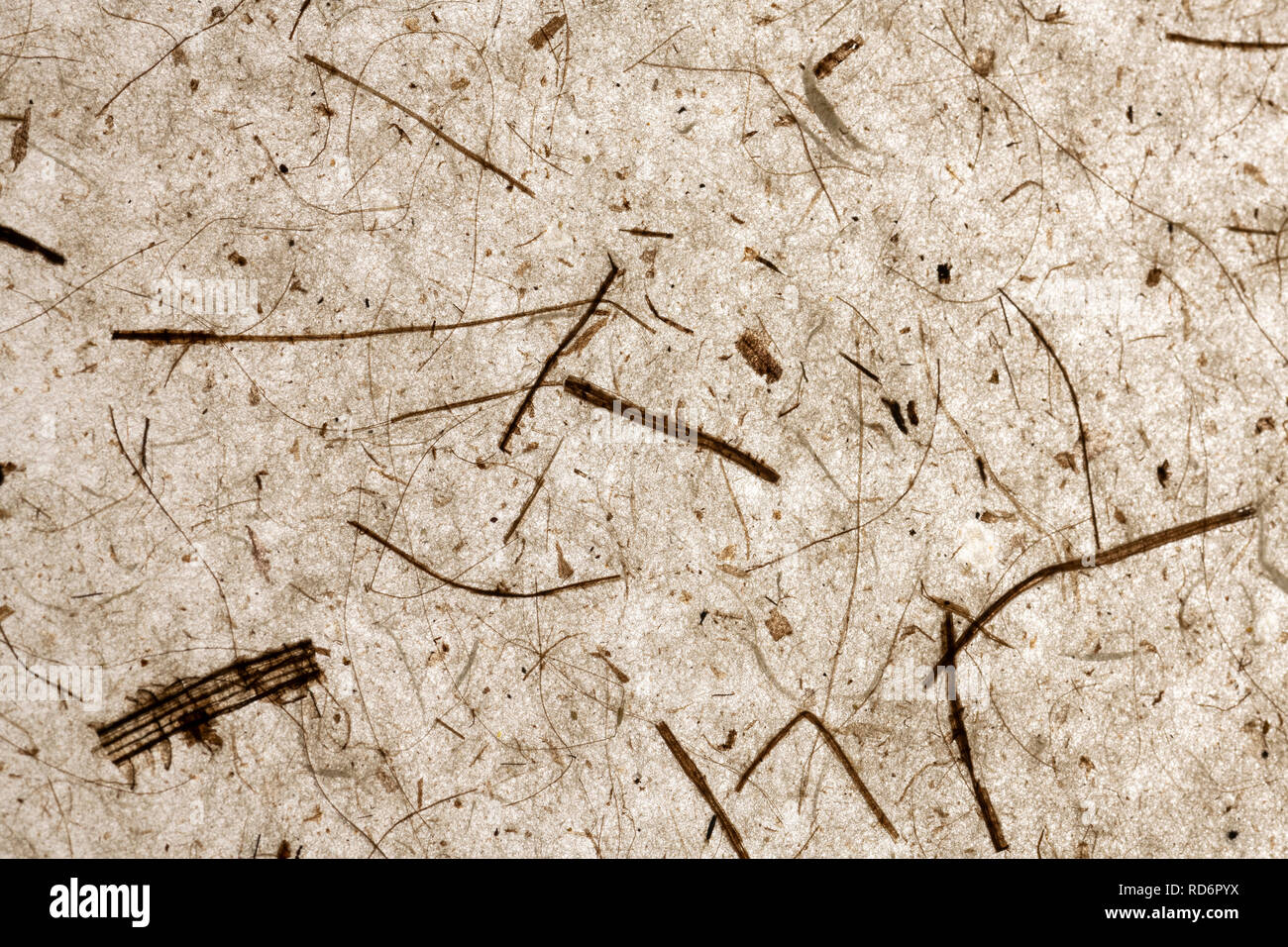 Magnifique résumé recyclé papier transparent à la main avec la nature éléments. brown teinte chaude. L'artisanat. Convient pour différents avec l'espace pour le texte Banque D'Images