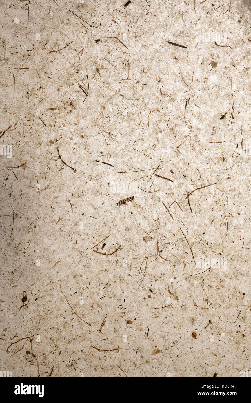 Magnifique résumé recyclé papier transparent à la main avec la nature éléments. brown teinte chaude. L'artisanat. Convient pour différents avec l'espace pour le texte Banque D'Images