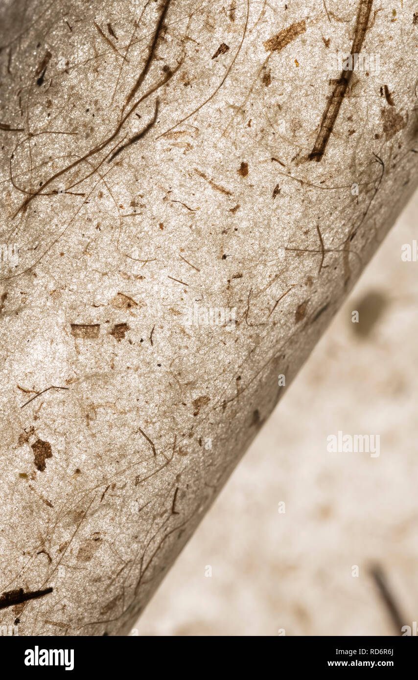 Magnifique résumé recyclé papier transparent à la main avec la nature éléments. brown teinte chaude. L'artisanat. Convient pour différents avec l'espace pour le texte Banque D'Images