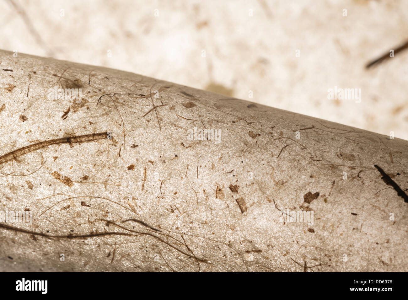 Magnifique résumé recyclé papier transparent à la main avec la nature éléments. brown teinte chaude. L'artisanat. Convient pour différents avec l'espace pour le texte Banque D'Images