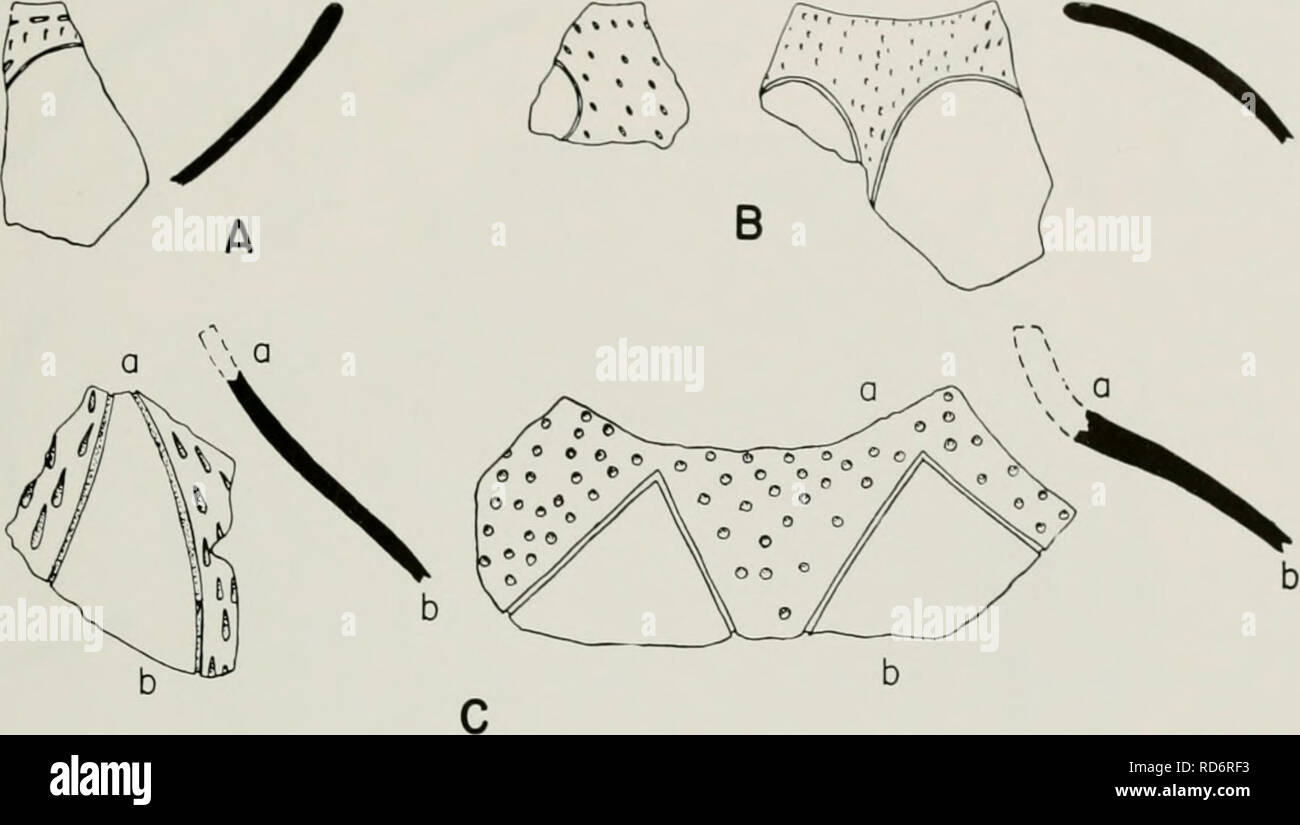 . Chronologie culturelle et le changement comme reflété dans la céramique de la vallée de Virú, Pérou. Poterie -- La vallée de Viru, Pérou ; Mounds -- Pérou Vallée Viru Viru ; Vallée, Pérou -- antiquités. DESCRIPTION DES TYPES DE POTERIE 207. Fig. 70. Tesson et tessons de profils Guanape zonés réticulé ; X 0,4. 3. Constriction des bocaux avec moutiis et tournée vers le cou court (fig. 70, C). Bouche d'un diamètre de 12-14 cm. Zones punctated zoné pour l'épaule. Impressionné un seul tissu tesson tesson de tissu impression a été trouvé à V-272C, niveau 6. Il a une pâte lisse noir Guanape. Le fragment semble être de l'épaule d'Ajar. L Banque D'Images