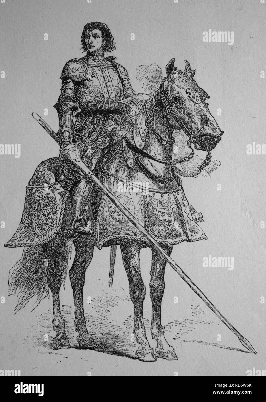 Pierre Terrail LeVieux, seigneur de Bayard, 1476 - 1524, connu comme le chevalier sans peur et sans reproche Banque D'Images