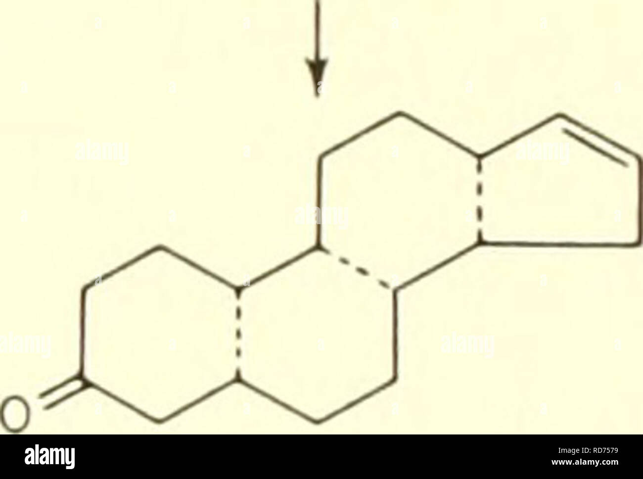 . Les courants dans la recherche biochimique, 1956 ; vingt-sept essais tracer la voie actuelle de la recherche biochimique et compte tenu de la relation intime de biochimie à la médecine, la physiologie et la biologie. Biochimie -- la recherche. Carotène BRYANT 1935 c- ^c- I i c. x. ^C C C I ! J'..c-c Acide oléique c--cc :^. 9 MOLS DE TRIOSE REICHSTEIN r938 CI VETONE WL N DAUS 1933 Fig. 1. Hypothèses sur le cholestérol Eady biogenèse. De nombreux exemples peuvent être cités pour illustrer l'augmentation du degré de coordination entre les travaux en chimie organique et en biochimie de l'expérimentation, mais peu sont aussi en Banque D'Images