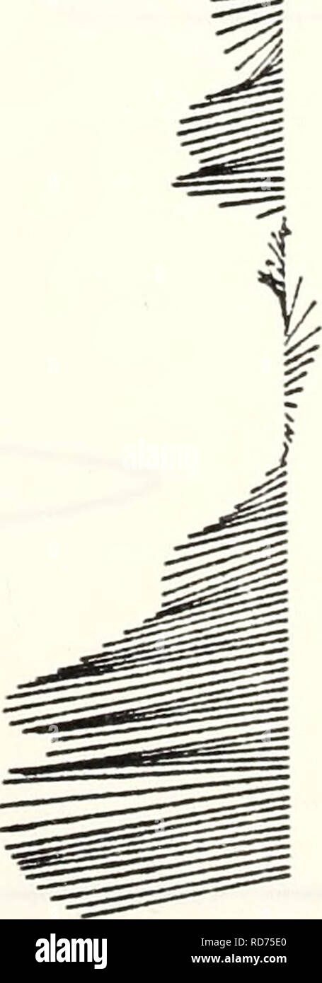 . Les données de mesure des courants à partir de la pente les eaux au large de la Californie centrale, 25 juillet 1978 - 1 juin 1980. Les courants marins, l'océan Pacifique. ; OCÉANOGRAPHIE--OCÉAN PACIFIQUE.. CO &Lt ; u e o O CJ 2• «* / ? ^ CM 2102 U D o un UJ un UJ a.  J. i -S i * e ro CJ 14. Veuillez noter que ces images sont extraites de la page numérisée des images qui peuvent avoir été retouchées numériquement pour plus de lisibilité - coloration et l'aspect de ces illustrations ne peut pas parfaitement ressembler à l'œuvre originale.. Oiseau, Arlene A.  ; Wickham, Jacob B.;Bottero, Joseph S. ;Pittock, Glenna. ;Smith, Robert L. ;Mooers, C. N. K. (Christopher N. K. ). Monter Banque D'Images