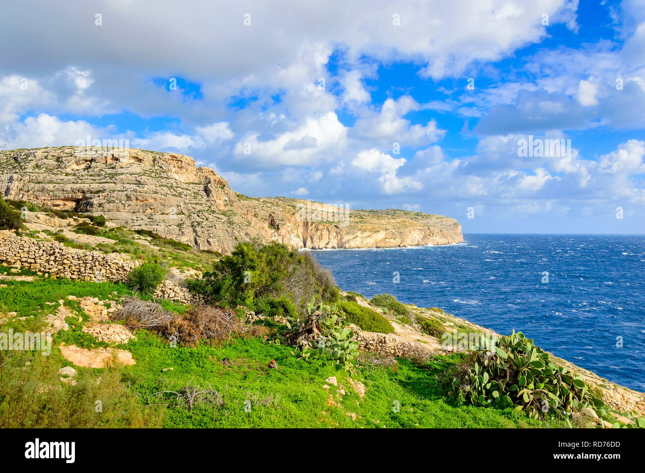 Falaises près de Blue Grotto, Malte. Seascape pittoresque avec rocky shore et vert cactus. Banque D'Images