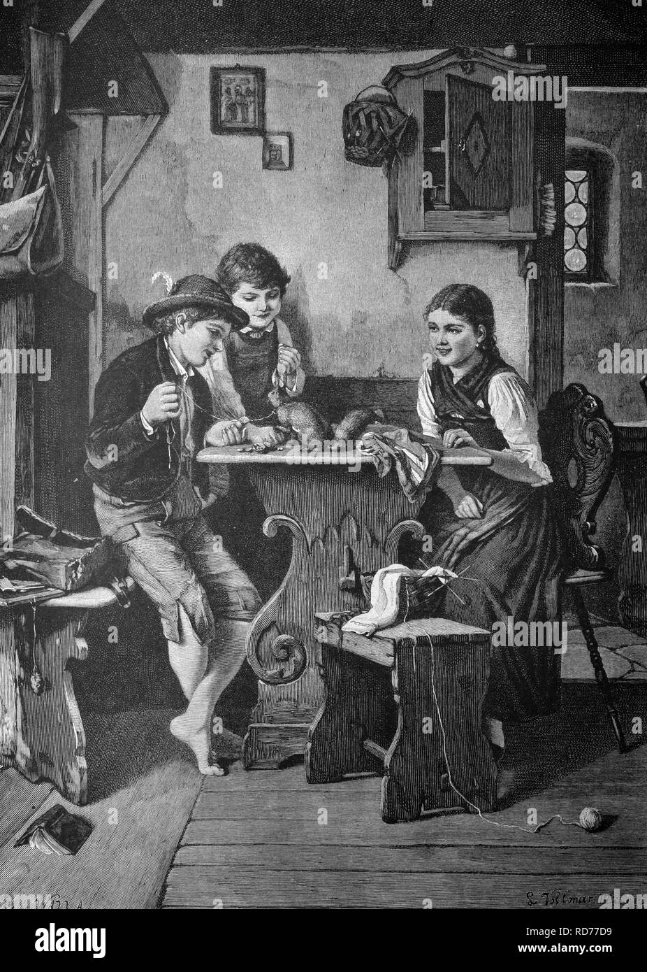 Comme un écureuil, animal illustration historique, vers 1886 Banque D'Images