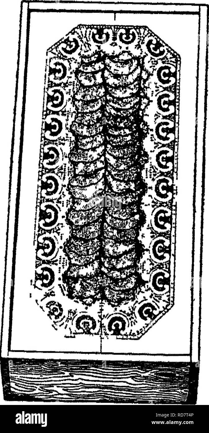 . L'encyclopédie de l'horticulture ; pratique un système de référence de l'horticulture commerciale, couvrant les phases pratiques et scientifiques de l'horticulture, en particulier pour les fruits et légumes ;. Jardinage ; culture ; fruits-légumes. L'ÉVAPORATION OP 933 pommes dans la description de ce grade m a marqué de- gree. Au moins 85  % des tranches doit être "sonne." La note ci-dessous ''premier" est le titre qui a été si mal géré et est si peu attrayante en apparence qu'il ne peut pas maintenir le niveau de "premier " Il est emballé pour un tout différen Banque D'Images