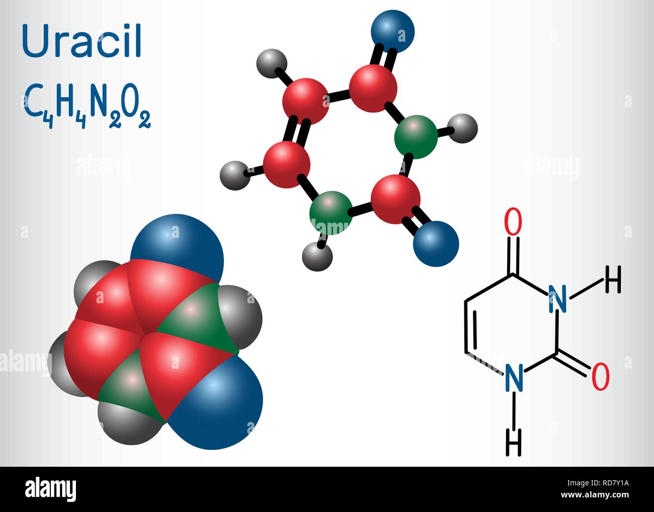 L'uracile (U) - dans la nucléobase pyrimidiques acide nucléique des ARN. Formule chimique structurale et molécule modèle. Vector illustration Illustration de Vecteur