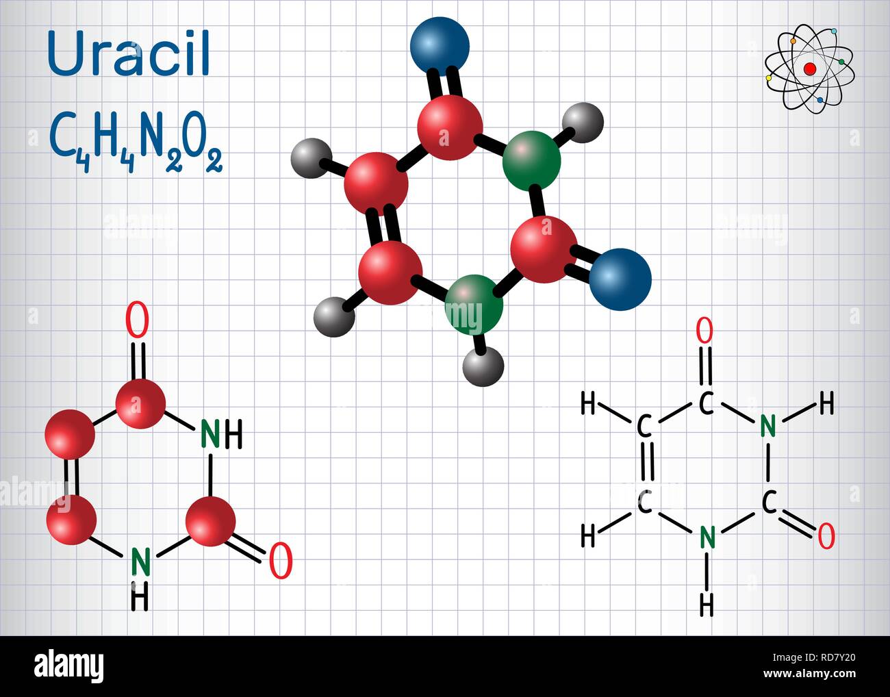 L'uracile (U) - dans la nucléobase pyrimidiques acide nucléique des ARN. Formule chimique structurale et molécule modèle. Feuille de papier dans une cage. Vector illu Illustration de Vecteur