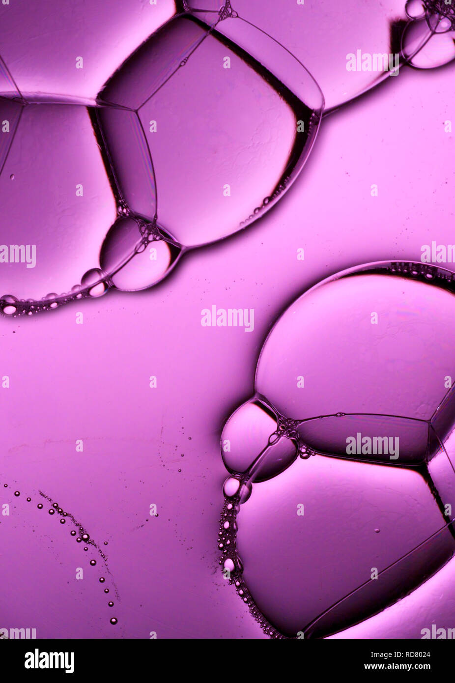 Close up de bulles sur fond violet, studio shot Banque D'Images