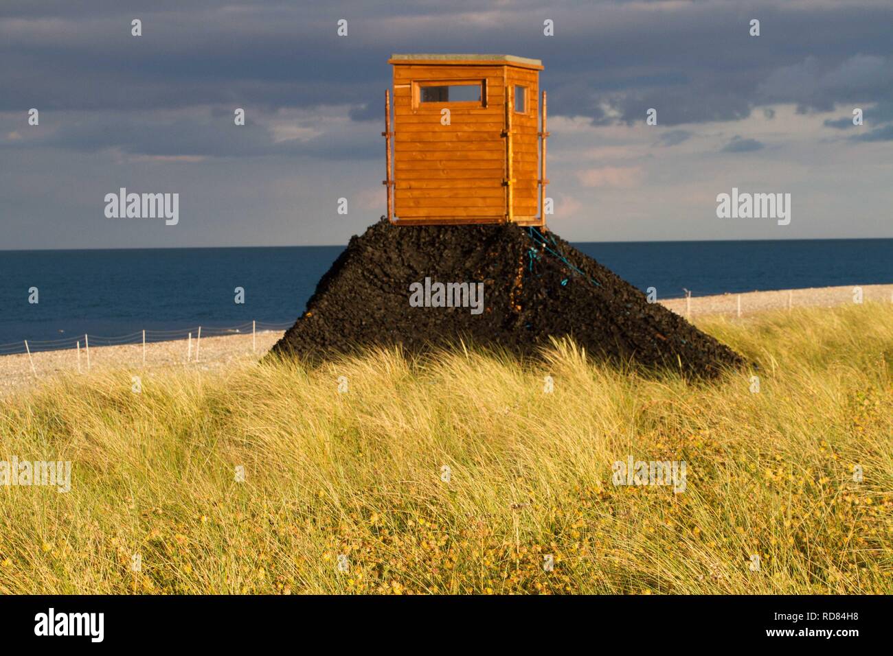 Bird hide , créé par Birdwatch Ireland pour étudier et suivre sterne naine (Sterna albifrons) colonie ,espèces indicatrices des changements climatiques Banque D'Images