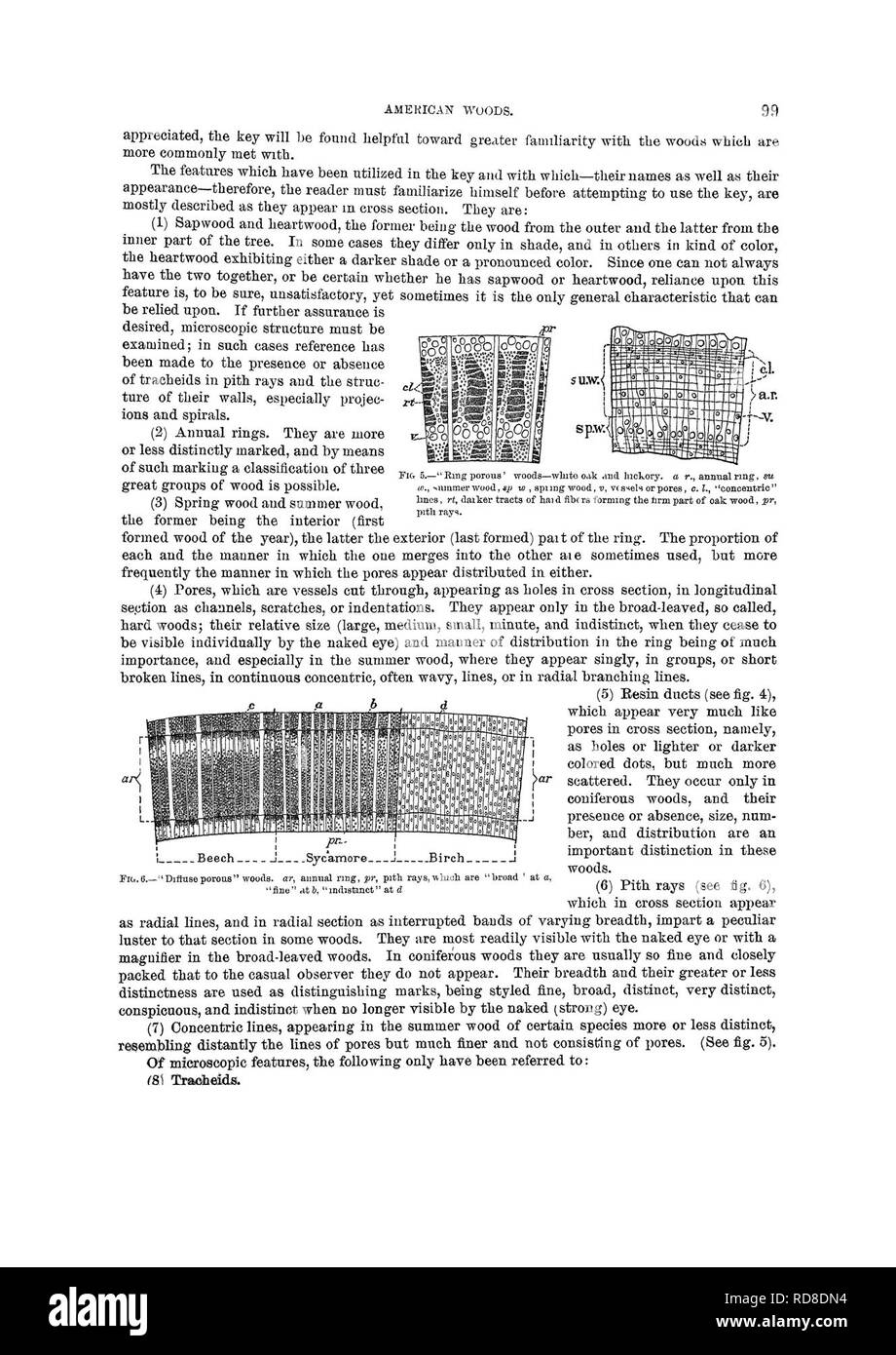 . Rapport sur l'enquête forestière du Ministère de l'agriculture. 1877-1898. Les forêts et la foresterie. . Veuillez noter que ces images sont extraites de la page numérisée des images qui peuvent avoir été retouchées numériquement pour plus de lisibilité - coloration et l'aspect de ces illustrations ne peut pas parfaitement ressembler à l'œuvre originale.. B. E. Fernow, Eduard (Bernhard), 1851-1923 ; United States. Service des forêts. Washington, Govt. imprimer. off. Banque D'Images