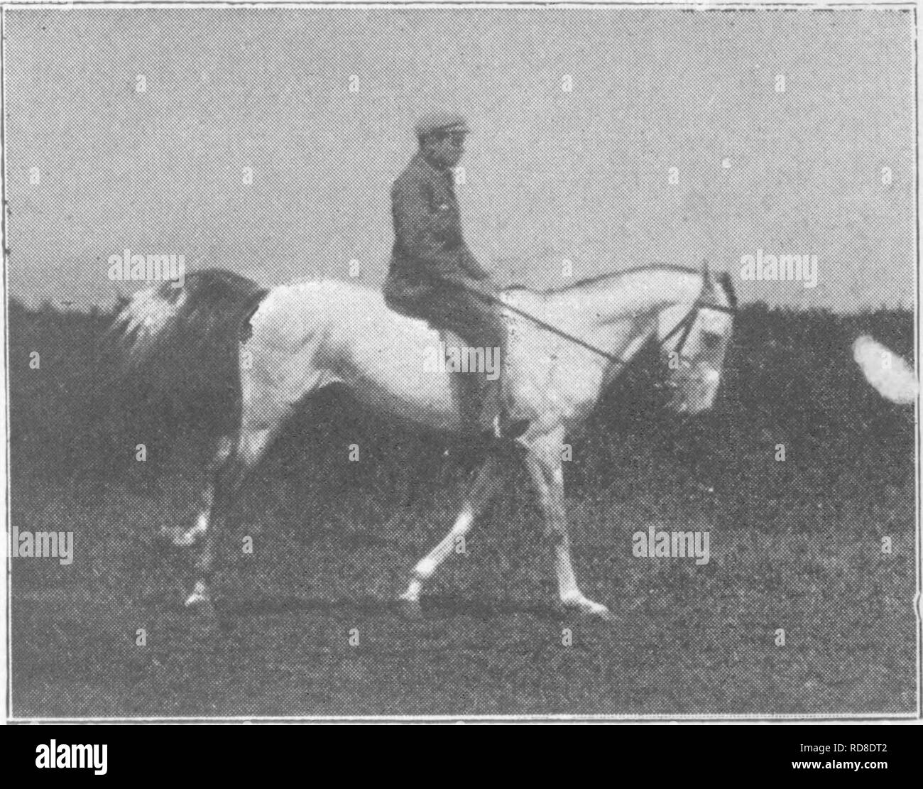 . Points du cheval ; un traité sur la conformation, les mouvements, les races et l'évolution du cheval. Les chevaux. M. H. H. M. H. H. Pour faire face à la p. 94. Fig. 127. Fig. 128. Phases de la part d'une caste élevée au galop. Arabes. Veuillez noter que ces images sont extraites de la page numérisée des images qui peuvent avoir été retouchées numériquement pour plus de lisibilité - coloration et l'aspect de ces illustrations ne peut pas parfaitement ressembler à l'œuvre originale.. Hayes, M. Horace Horace (Matthieu), 1842-1904. Londres, W. Thacker &AMP ; co Banque D'Images