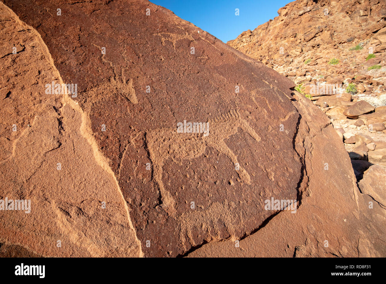 Des zèbres et des pétroglyphes de Kudu à Twyfelfontein Gravures Rupestres Site - Damaraland - région de Kunene, Namibie, Afrique Banque D'Images