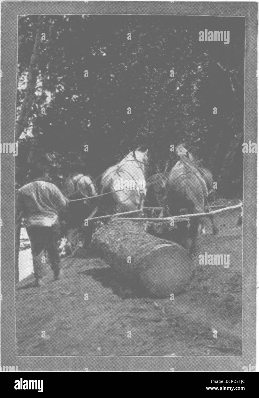 . La protection des forêts et de la conservation dans le Maine, 1919. Les forêts et la foresterie. PROTECTION INCENDIE "T DES BELVÉDÈRES.. 3 ! / -- Il des belvédères sur la montagne Agamenticus et Ossipee Hill, sur les tours d'acier qui ont été érigés à l'automne dernier, ont des liens avec le système de la Nouvelle Angleterre Téléphone &AMP ; Telegraph com- pany. Ces stations ont été ouvertes au début de mai et demeurent ouverts jusqu'au début d'octobre. En vertu d'un agreemeent avec le Service forestier des Etats-Unis le salaire des gardes sur ces deux stations a été payée deux-tiers par le service et un tiers par l'État. Il y avait trente-quatre incendies re Banque D'Images