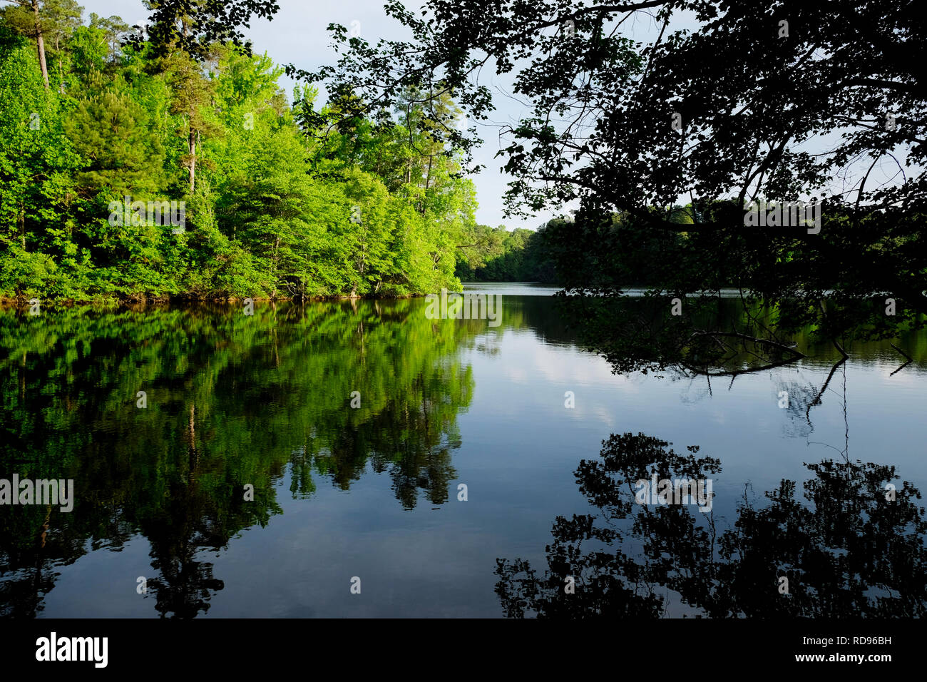 Vue panoramique calme avec de beaux arbres et ciel réflexions à Lake Johnson Park à Raleigh en Caroline du Nord. Banque D'Images