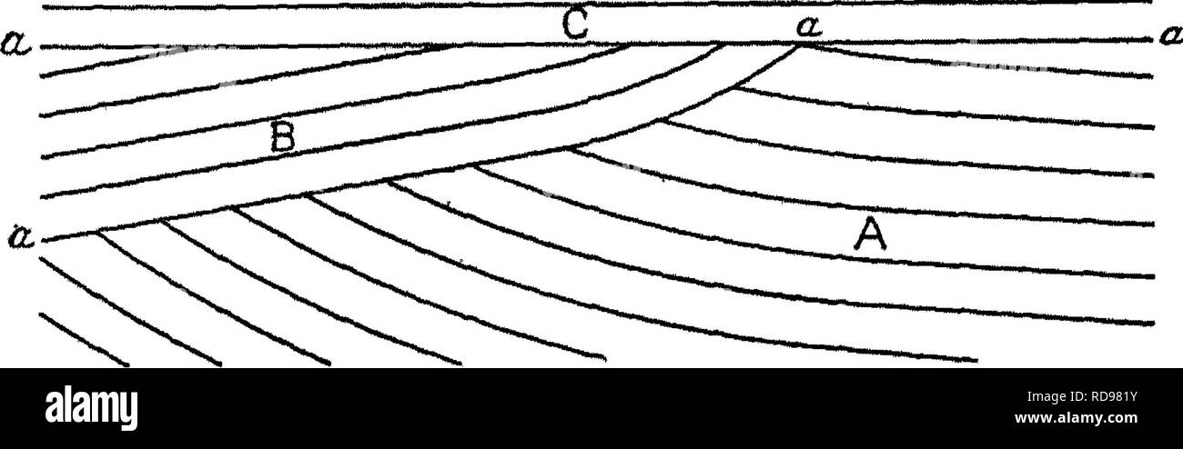 . Géologie de la bassin de Narragansett. La géologie. GIOLOGY IsTARRAGANSETT 178 DU BASSIN. ci-dessus. À l'extrémité orientale de l'illustré sur le plan synclinal ces lits peuvent être vus en tournant vers le nord et l'ouest, avec l'original montrant clairement la literie haut de la strate. L'utilisation de la literie disponible dans la chambre croix à déterminer la position d'origine de strates dépend du fait que lorsque la tendance ''jeu de couches d'avancement" sont quelque peu érodé les couches suivantes reposent sur leurs bords tronqués. La preuve ainsi issue du croisement de la literie confirme la vision que ces lits sont sur le côté nord de Banque D'Images