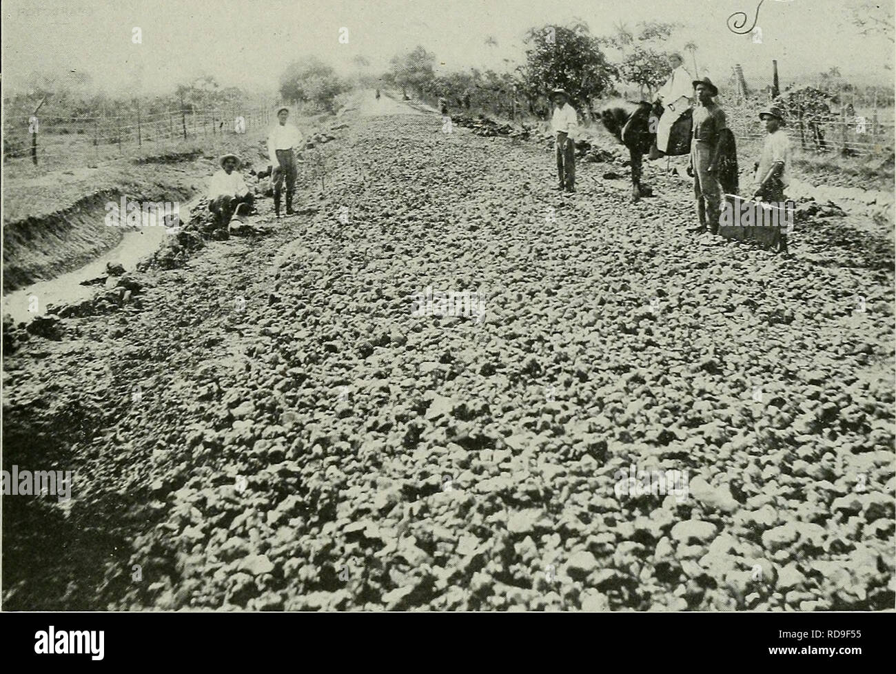 . L'examen de Cuba. L'EXAMEN DE CUBA 11. Route de Puerto de Golpe de gothique Erato en construction--province de Pinar del Rio. La longueur du plan général adopté est le suivant, distribué dans les six provinces : Pinar del Rio, 371 500 kilomètres ; La Havane, Matanzas, 435 500 316 500 ; ; ; 852 225, Santa Clara Camaguey, 624 500 ; et oriente, 1 099 925. Total, 3 700 150 kilomètres. Le système du Nord commence dans la province de Pinar del Rio, dans Vifiales, route de Pinar del Rio à l'Esperanza, et traverse Consolacion, Bahia Honda, Cabanas, Guana jay, Habana, Guanabacoa, Minas, Tumba-Cuatro, Sa Banque D'Images