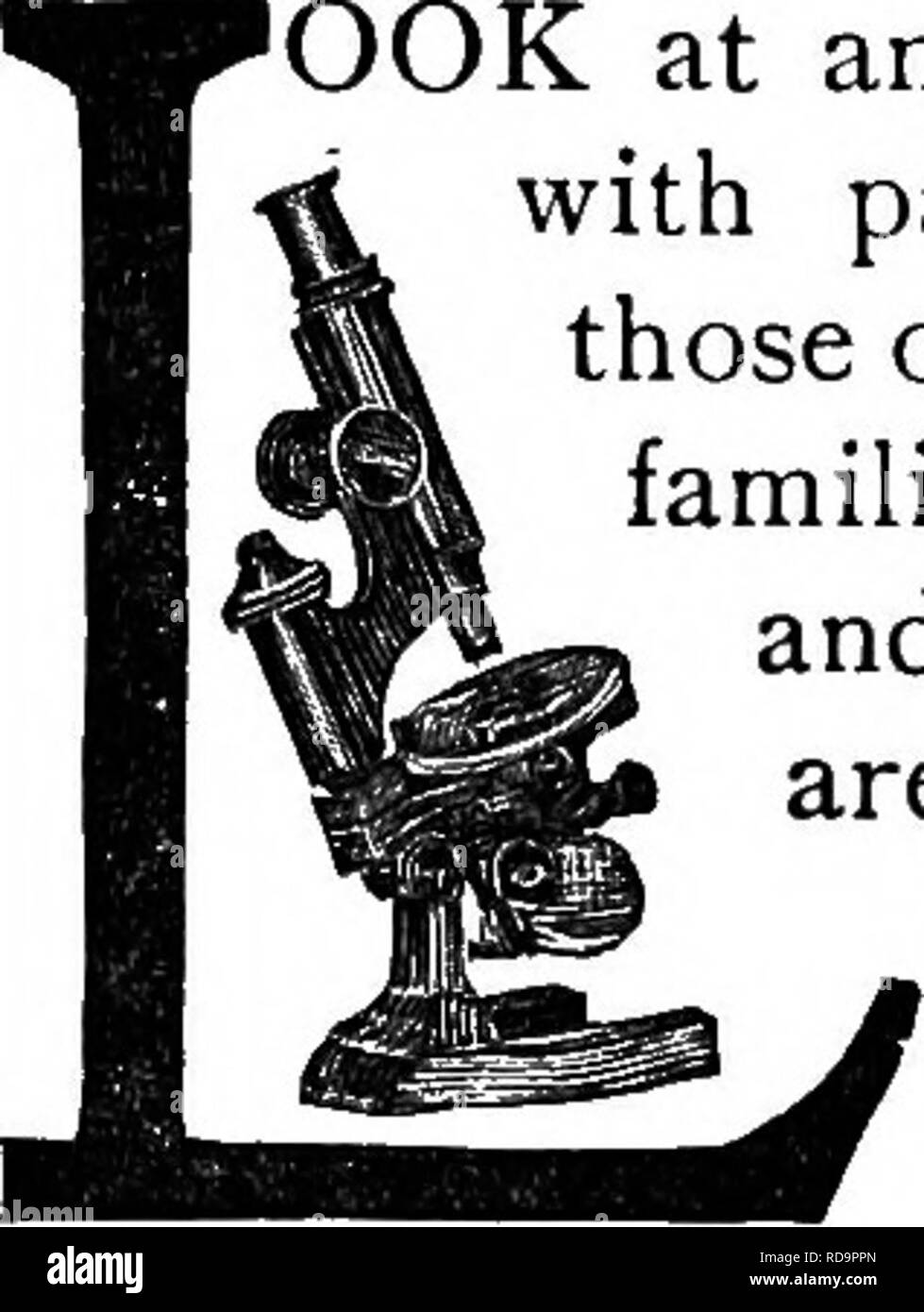 . La vie d'insectes ; une introduction à l'étude de la nature et un guide pour les enseignants, les étudiants et autres personnes intéressées par la porte de la vie. L'entomologie, l'étude de la Nature. Partie I. LES ENSEIGNEMENTS DANS LA VIE DE L'insecte.. Chapitre I. LES PARTIES D'un insecte. OOK 'à un insecte et vous trouverez une créature avec des parties qui sont très différentes de celles des animaux qui nous sont plus familiers. Bien qu'il peut voir, entendre, manger, marcher, et ses yeux, oreilles, bouche, et les jambes ne sont pas comme les organes correspondants des animaux supérieurs. Il est nécessaire)"^, par conséquent, au début de notre étude d'insectes, d'apprendre quelque chose de la st Banque D'Images