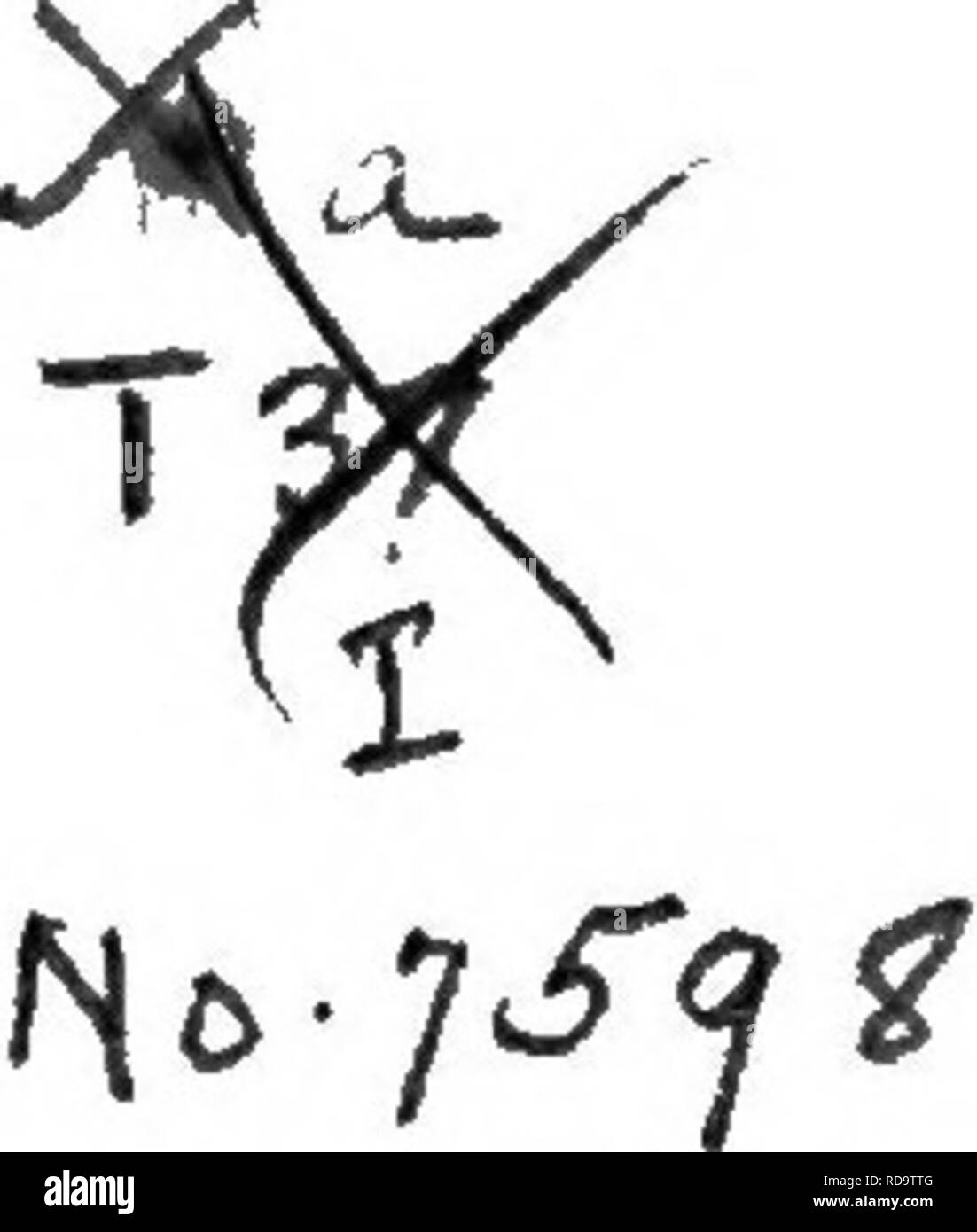 . Croquis, historique et descriptif, de noter le Maine chevaux, passées et présentes, leurs ancêtres et descendants. Les chevaux. Entré en fonction d'une loi du Congrès dans l'année 1874, par J. W. Thompson, dans le bureau du bibliothécaire du Congj-ess, laver à Washington, D. C.- B. THURSTON &AMP ; CO., imprimantes, Portland, ME. V.I. Veuillez noter que ces images sont extraites de la page numérisée des images qui peuvent avoir été retouchées numériquement pour plus de lisibilité - coloration et l'aspect de ces illustrations ne peut pas parfaitement ressembler à l'œuvre originale.. Thompson, John Wallace, 1844-. Portland, Hoyt &AMP ; Fogg Banque D'Images