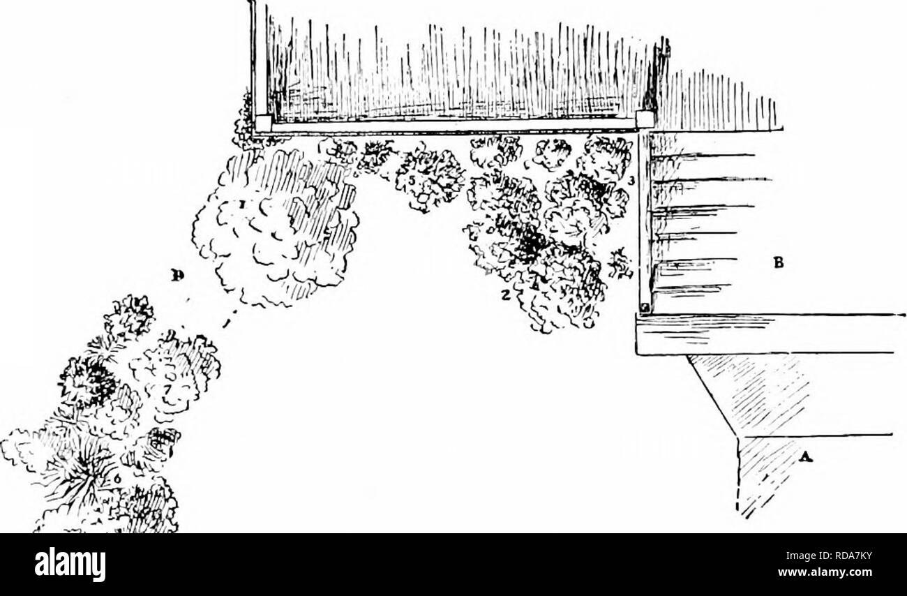 . Manuel de jardinage ; un guide pratique à l'établissement d'accueil et de la culture des fleurs, des fruits et des légumes pour une utilisation à domicile. Le jardinage. 46 Manuel d'installation pour jardinage plantation décorative, lorsqu'il est sous contrôle. Les plantes de cette frontière, en face de la véranda sont tous dans la nature, et comprennent une prickly ash, plusieurs usines d'osiers ou cornouiller sauvage deux, une épice bush, de rose, de tournesol sauvage et des asters et golden-tiges. Le promontoire sur la gauche est un objectif plus ambitieux mais moins efficace de la masse. Il contient un exochorda, un roseau, varié, aîné, sacaline, cornouiller panaché, tan Banque D'Images . Manuel de jardinage ; un guide pratique à l'établissement d'accueil et de la culture des fleurs, des fruits et des légumes pour une utilisation à domicile. Le jardinage. 46 Manuel d'installation pour jardinage plantation décorative, lorsqu'il est sous contrôle. Les plantes de cette frontière, en face de la véranda sont tous dans la nature, et comprennent une prickly ash, plusieurs usines d'osiers ou cornouiller sauvage deux, une épice bush, de rose, de tournesol sauvage et des asters et golden-tiges. Le promontoire sur la gauche est un objectif plus ambitieux mais moins efficace de la masse. Il contient un exochorda, un roseau, varié, aîné, sacaline, cornouiller panaché, tan Banque D'Images