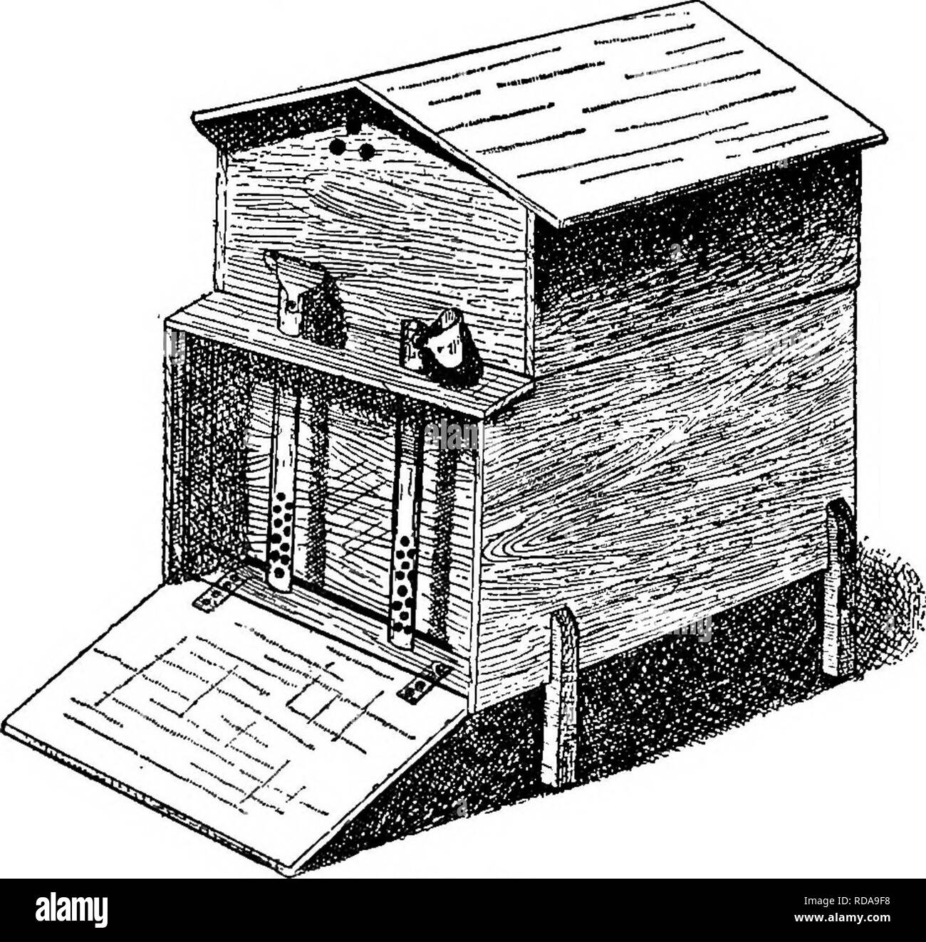 . Sur la ruche Langstroth &AMP ; abeille. Les abeilles. SHELTEKING OXJT-DOOB. 353 les confiner quand le temps est chaud assez pour les inciter à l'étranger. Si le soleil est chaud et le sol couvert, avec nouveau-neige, la lumière peut aussi aveugle les abeilles, qu'ils entreront dans cette neige laineux, et rapidement périr. Même à ces moments, il n'est guère souhaitable de les confiner dans leurs ruches. Un neighbot d'ours tués quatre colonies, tout ce qu'il avait, par la fermeture de la salle- transes, avec du fil de tissu pour l'hiver. On lui avait conseillé de le retirer, mais il ne l'a pas fait parce que quelqu'un lui avait dit que ses abeilles se perdre Banque D'Images