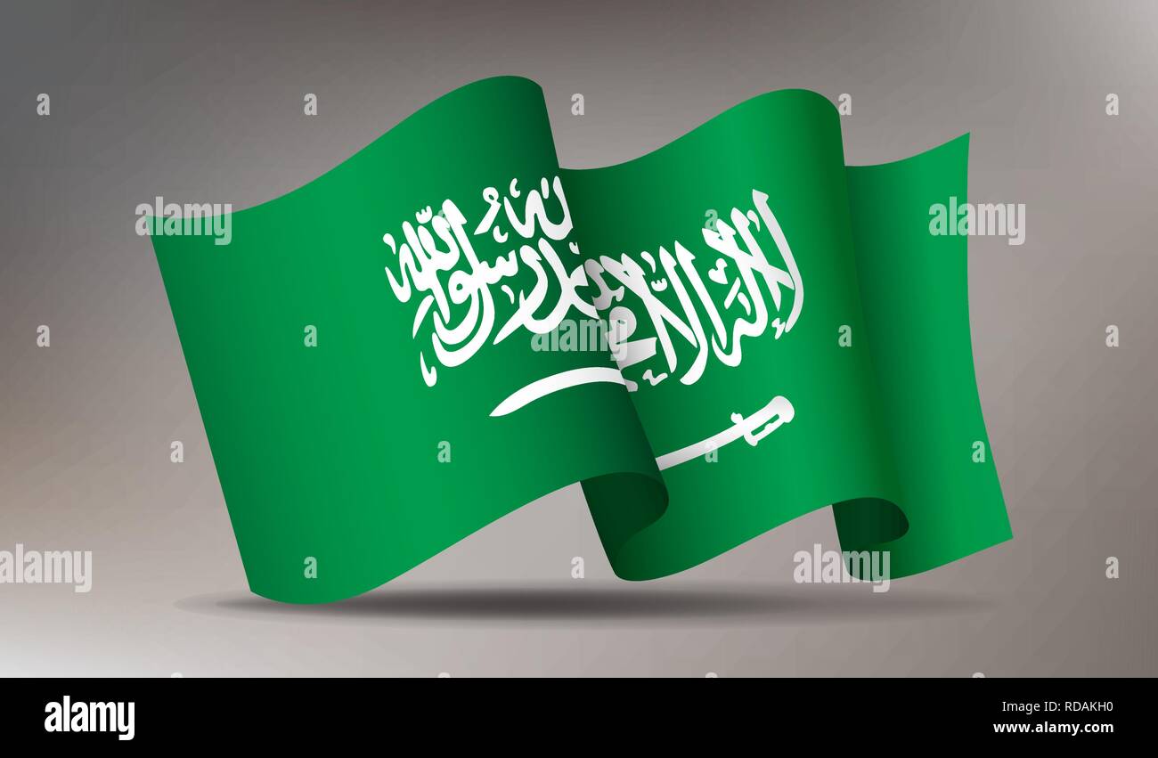 En agitant le drapeau de l'Arabie Saoudite l'icône 3d isolated Illustration de Vecteur