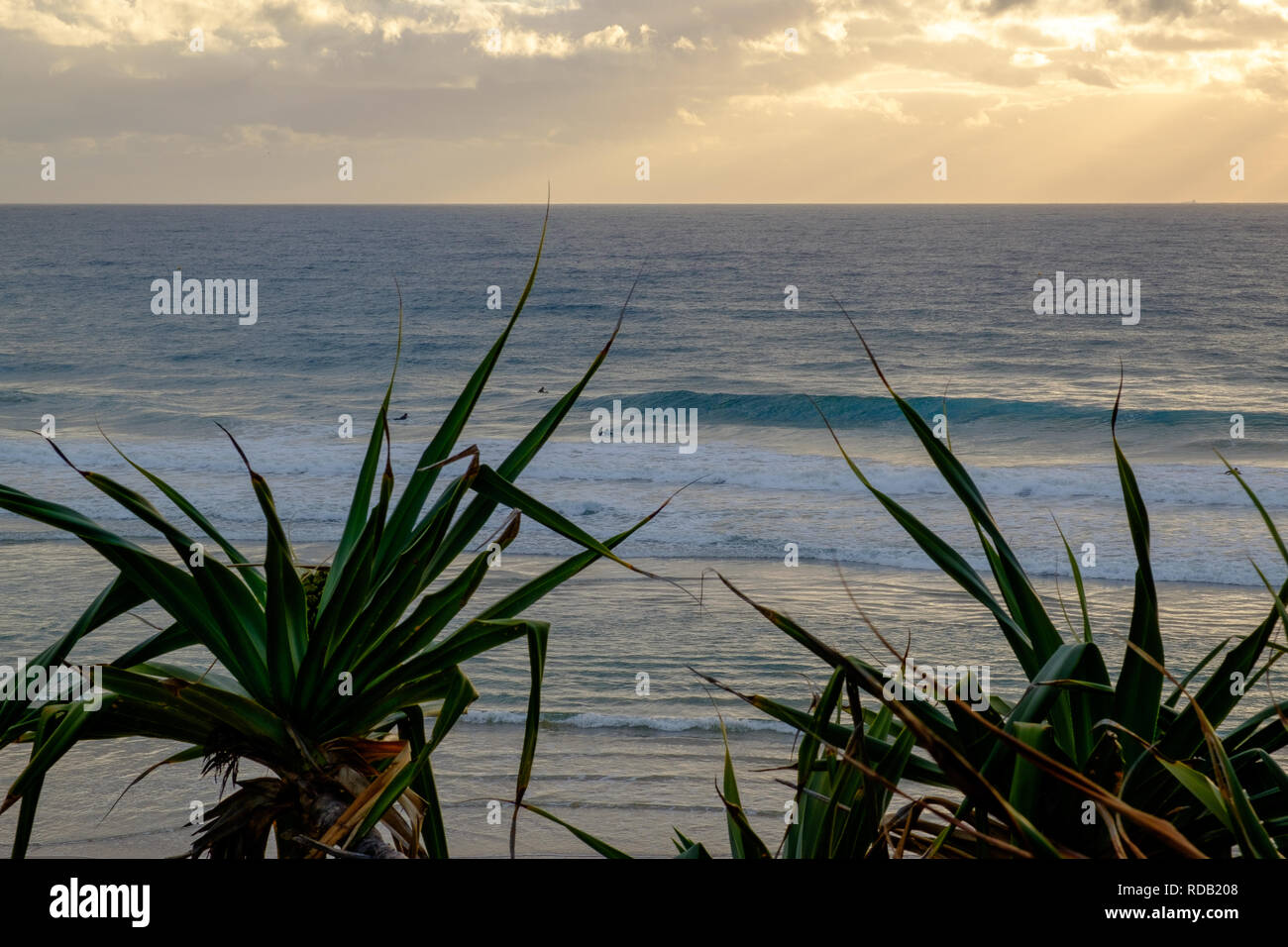 Coolum Beach, Sunshine Coast, Queensland, Australie Banque D'Images