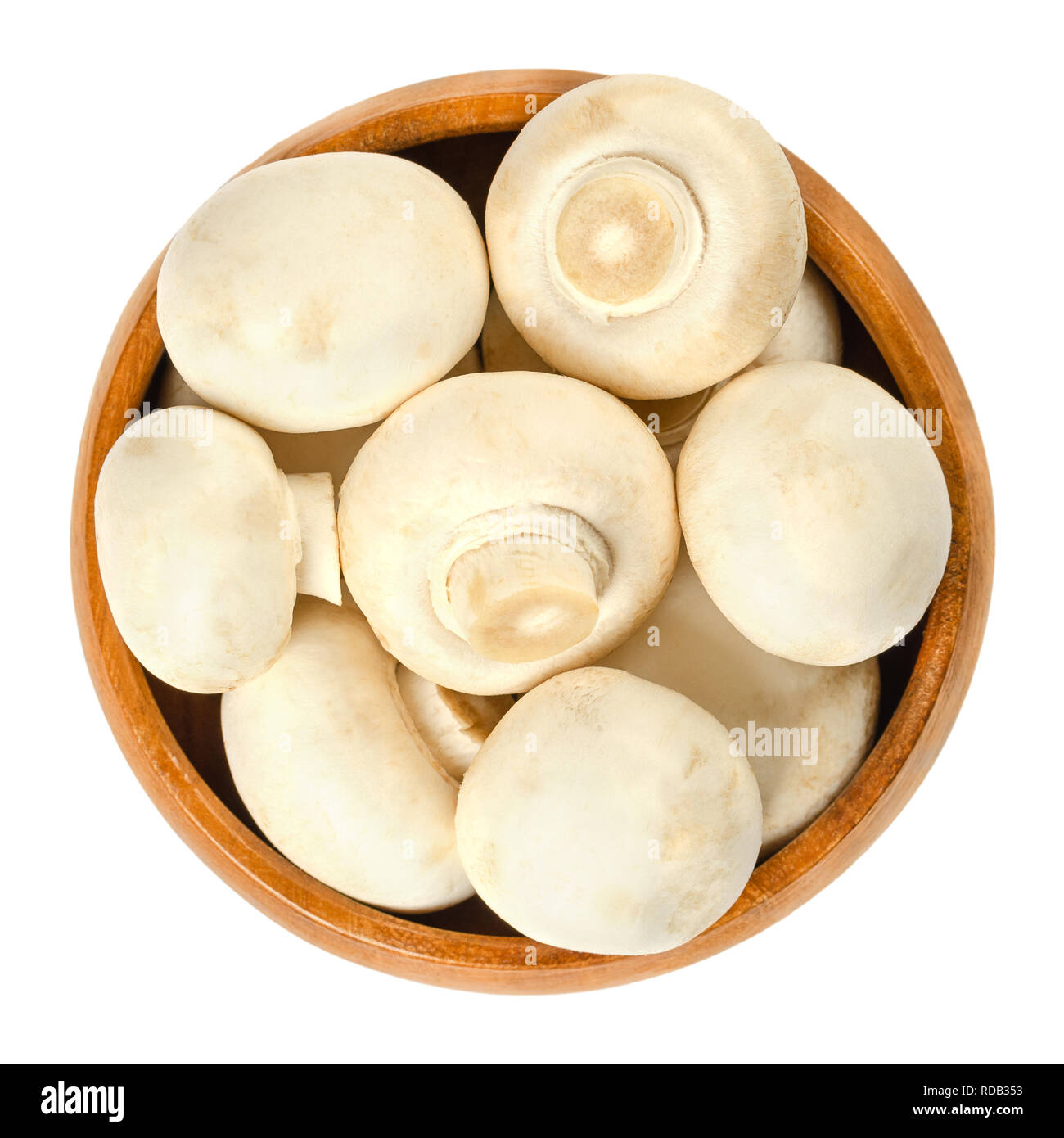 Ensemble blanc champignon champignons dans bol en bois. Agaricus bisporus, également appelé common, bouton, cultivée ou table champignon. Banque D'Images