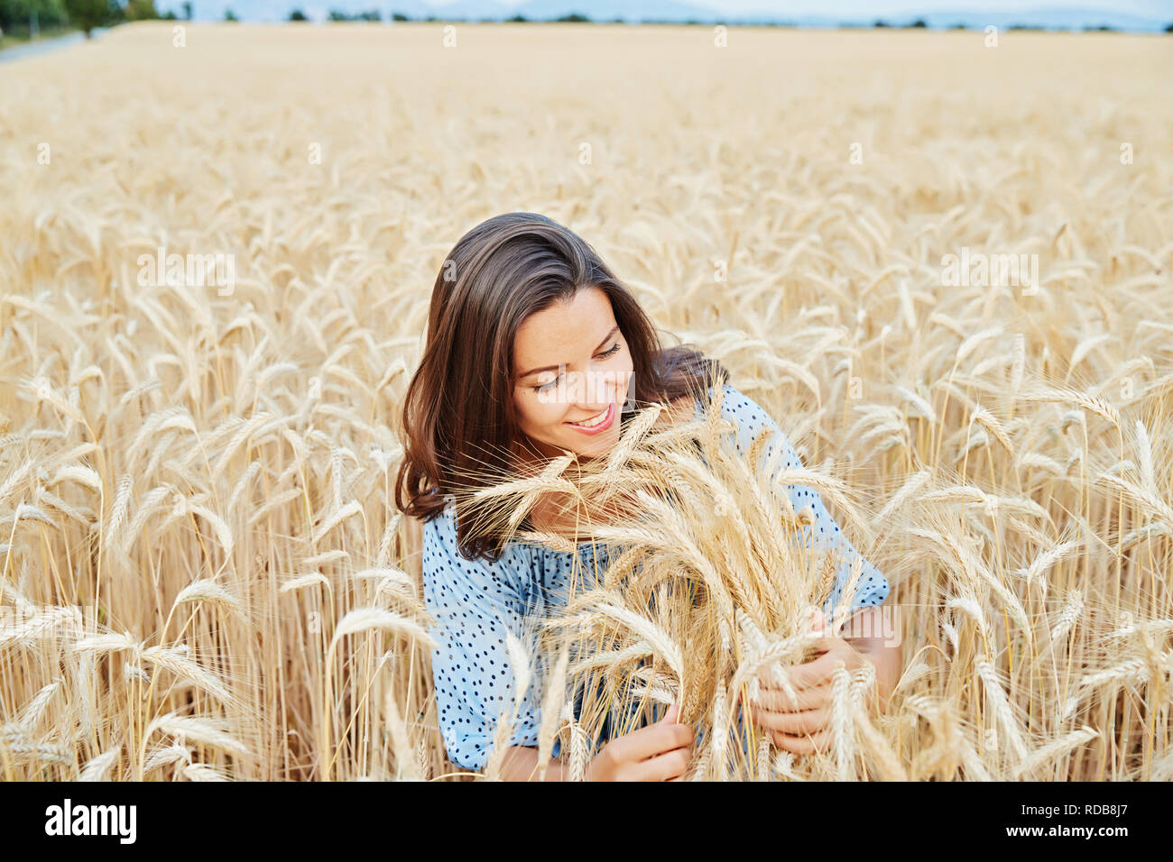La belle jeune fille avec de longs poils brun pose dans le champ avec du blé, de la lumière au coucher du soleil, transforme, sourires, flirte, heureux, robe bleue, France, prov. Banque D'Images