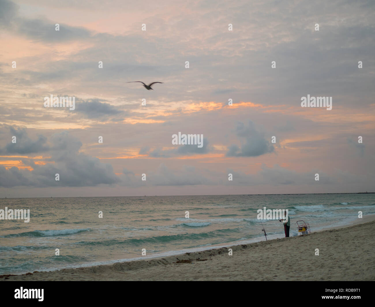 La pêche tôt le matin. Miami Beach. La Floride. USA Banque D'Images