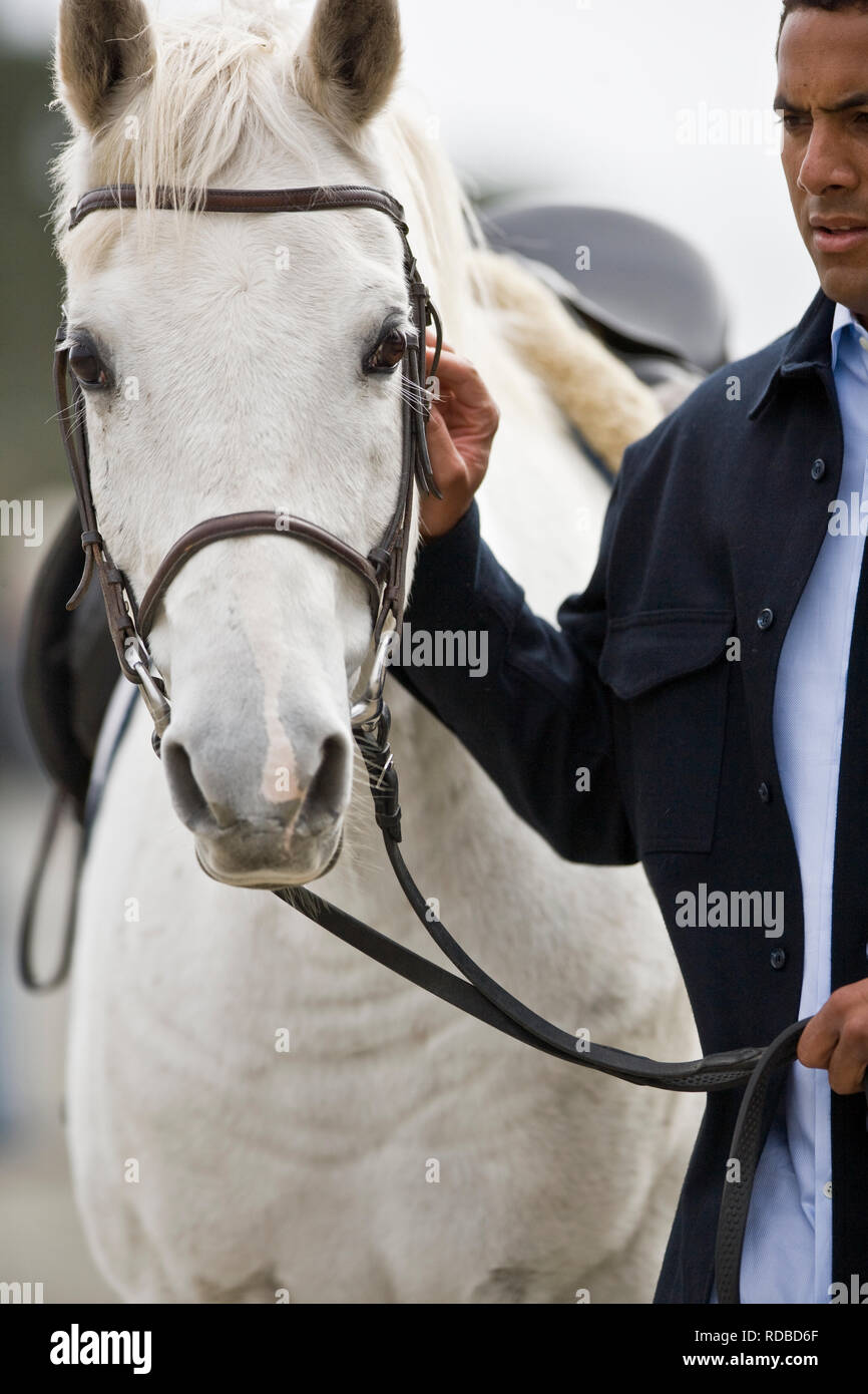 Mid-adult man holding les rênes d'un cheval blanc. Banque D'Images