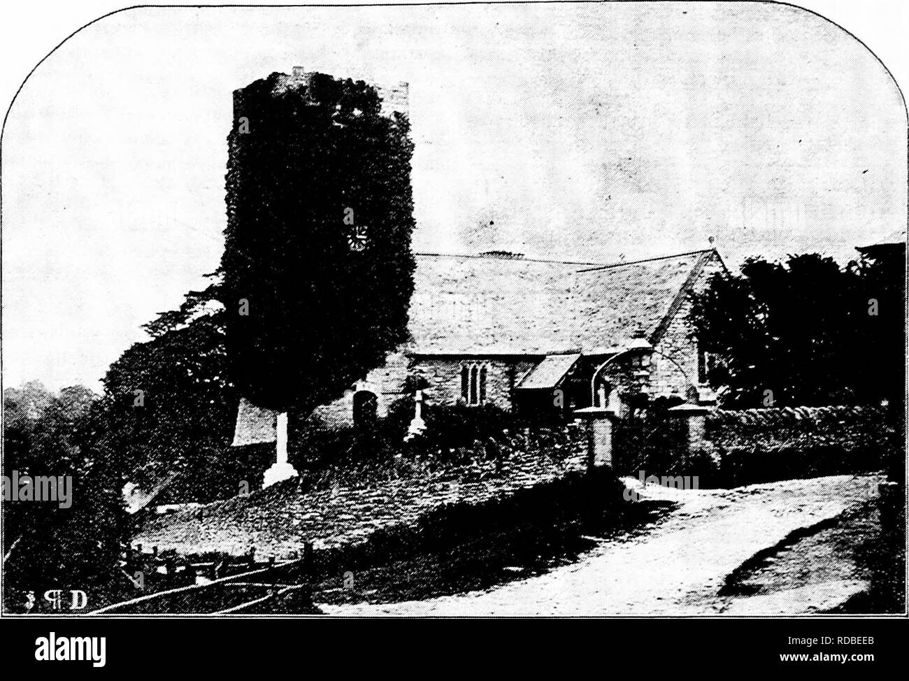 . Histoire de bovins Hereford : prouvé de façon concluante la plus ancienne d'espèces améliorées . Bovins Hereford. I N T H 0 1 (U) J T 1 0 N. KING'S-PYON ÉGLISE, près de Hereford. Wigmore Grange^ né 1713, et la supérieure de leur bétail bien avant B. Tomkins, Jr., le mariage. Ces souvenirs et beaucoup de faits qui seront mentionnés prouvent clairement que l'amélioration systématique de l'Herefords a été commencé par l'aîné B. Tomkms en 1742. Il le sera sur se référant à Sinclair est son histoire des bovins Hereford que lorsqu'Eichard Tomkins de la nouvelle maison, ferme- du Roi, mourut en 1723 Pyon, il lefj sept enfants Banque D'Images