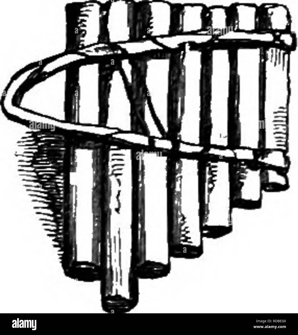 . Récit du voyage de H.M.S. Crotale, commandé par le décès du capitaine Owen Stanley pendant les années 1846-50 : pour ce qui est d'ajouter M. E.B. L'expédition de Kennedy pour l'exploration de la péninsule du Cap York . Kennedy, Edmund Besley Cour, 1818-1848 ; Stanley, Owen ; crotale de l'Ouest (navire) ; l'histoire naturelle. 282 INSTRUMENTS DE MUSIQUE. l'état de virilité, et parmi les femmes est ahnost-*entu ely confinée à la vieille femme. La préférence de ces personnes pour les fleurs et plantes à parfum solide est remarquable de^-ils les portent dans leurs cheveux, sous la poussée et les brassards, ceinture, ou des guirlandes autour de la n Banque D'Images