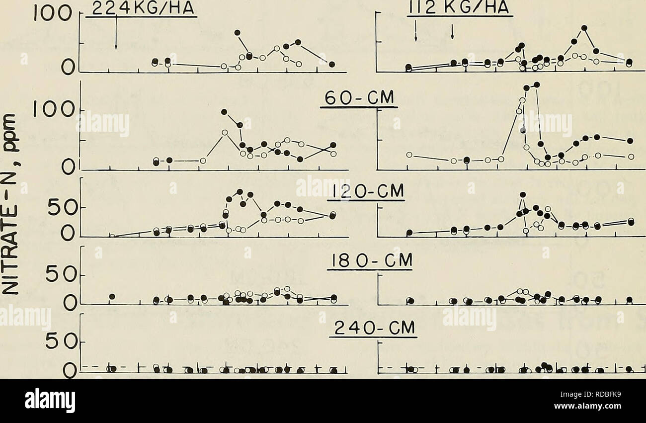 . L'utilisation efficace de l'azote sur les terres cultivées dans le nord-est. Les plantes ; les sols. 16 Florida Agricultural Experiment Station 792 Bulletin NORGANIC BIO-N-N 0 i| ' «1 -Â T I r 1 r 5 ' PLUIE (cm) 10 - 130 224KG/HA 12 KG/HA. Jmji tt-h a 7Â"U- ck-rmnmittrmk g â &gt ;- Â" i -W-^ Â¥ cwl ' f u ^&gt ; %Lridt-Â"- !-â ¢. -I 6 8 0 2 12 68 10 12 2 mois Figure 14. La répartition des précipitations dans le temps et la distribution de la concentration de nitrate-N avec la profondeur du sol et le temps sous l'ombre du tabac en 1975. (Données de J.L. Starr et H.C. DeRoo, Connecticut) souvent, le taux d'absorption d'azote de l'engrais a chuté à près de zéro, Banque D'Images