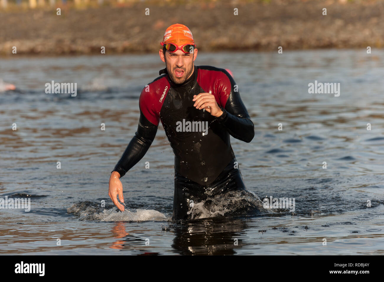 Homme sortant de l'eau après l'étape de natation triathlon Ben Nevis Loch Linnhe Fort William U.K Banque D'Images