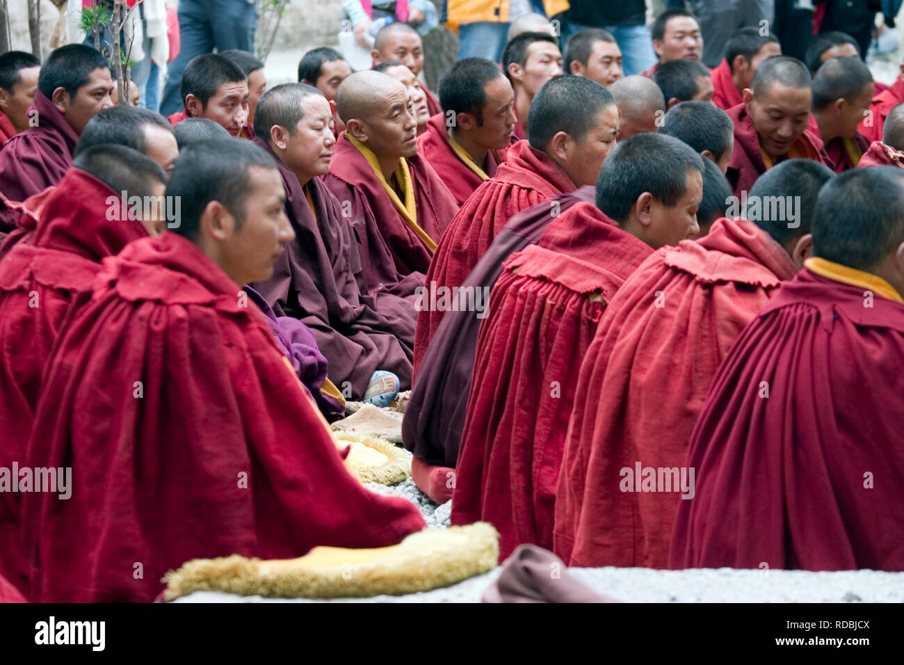 Débattre des moines dans Lhassa au Tibet Banque D'Images