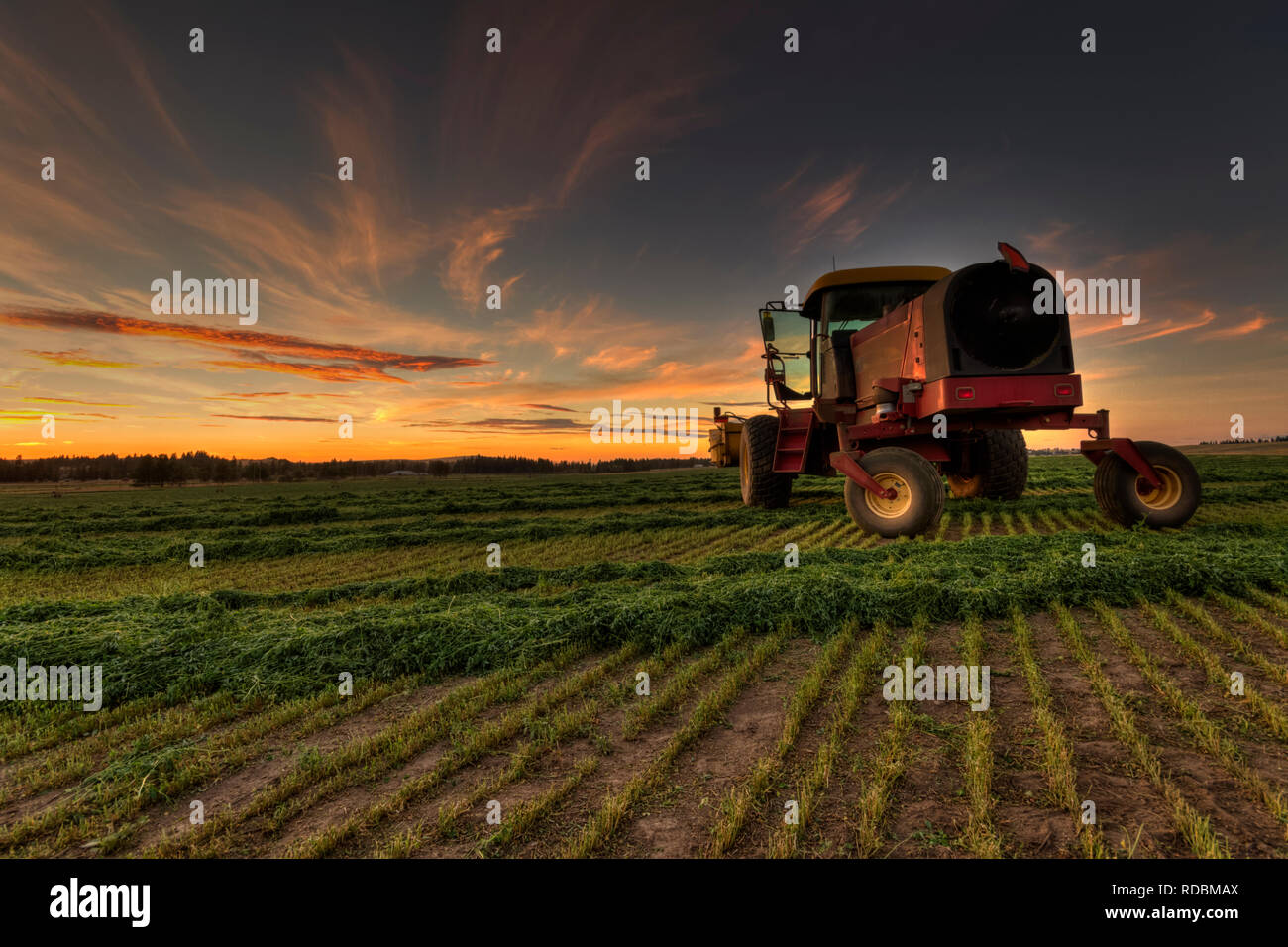 La luzerne est tout coupé. Le travail est fait pour la journée. L'andaineur est arrêté et il est maintenant temps de se détendre et admirer le coucher du soleil. Banque D'Images