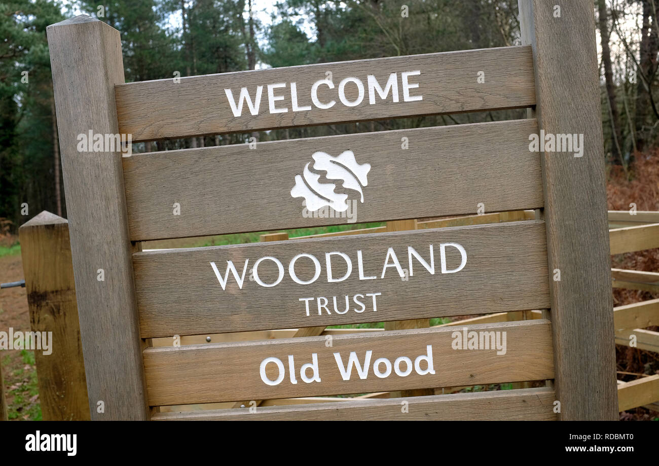 Bienvenue woodland trust signe, joli bois d'angle, sheringham, North Norfolk, Angleterre Banque D'Images
