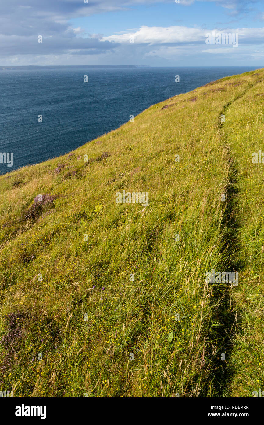 Sentier du littoral sur une falaise abrupte par l'océan Atlantique, l'île de Lewis, îles Hébrides, Ecosse, Royaume-Uni Banque D'Images