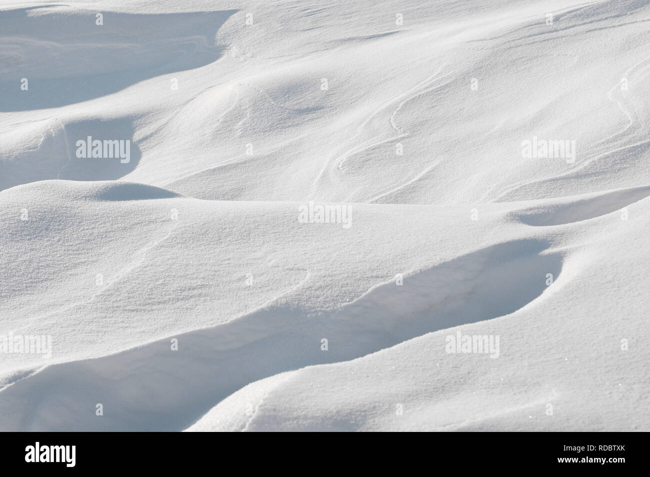 Paysage avec la neige blanc hiver.fond avec copie espace pour le texte. Orientation horizontale. Banque D'Images