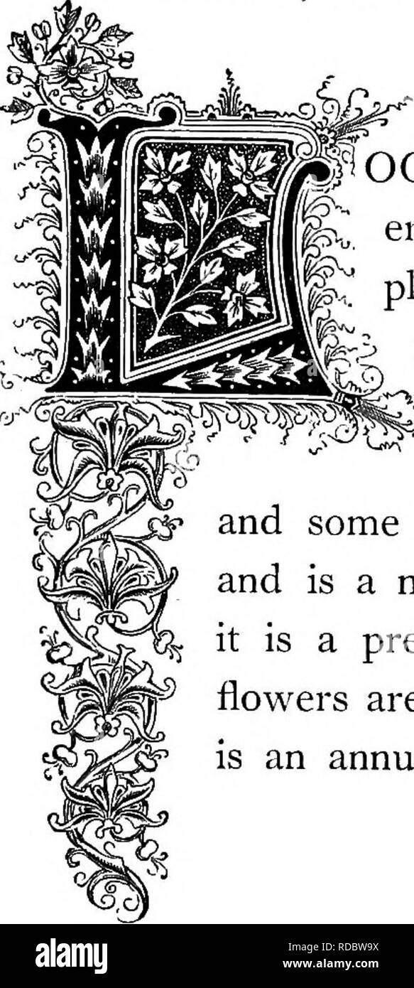 . Le Royaume floral : son histoire, le sentiment et la poésie : un dictionnaire de plus de 300 plantes, avec les genres et les familles auxquelles elles appartiennent, et la langue de chaque illustré avec les pierres précieuses à la poésie . Langage des fleurs ; les fleurs dans la littérature. SptCUlarta SpfCulum. L'ordre naturel : CamfanulacemâBellivort la famille. OOKING-lunettes et de beauté ont toujours été considérés comme avoir une affinité particulière pour l'autre ; d'où cette plante, les fleurs ont été comparé à un " miroir concave," a été consacré à la déesse de la beauté, et j'^'-Wr^^^ a appelé son Ibok Banque D'Images