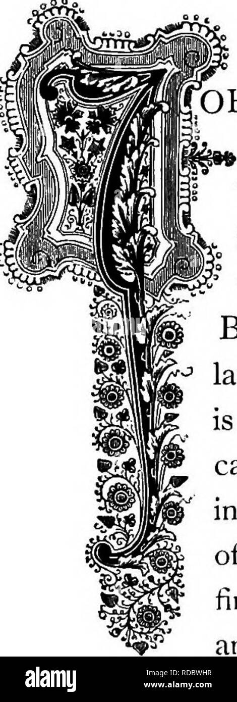 . Le Royaume floral : son histoire, le sentiment et la poésie : un dictionnaire de plus de 300 plantes, avec les genres et les familles auxquelles elles appartiennent, et la langue de chaque illustré avec les pierres précieuses à la poésie . Langage des fleurs ; les fleurs dans la littérature. J'Stapdia bufollitt^'. L'ordre naturel : Asclepiadacece Asclépaide-famille. [OHN BODyEUS BECHELSDORF, un célèbre médecin d'Amsterdam, a l'honneur posthume d'être rappelé dans cette usine. Le Stapelia a l'apparence d'une espèce de cactus, bien qu'il appartient à une autre famille de plantes. C'est charnu et ramifiée, sans foli Banque D'Images