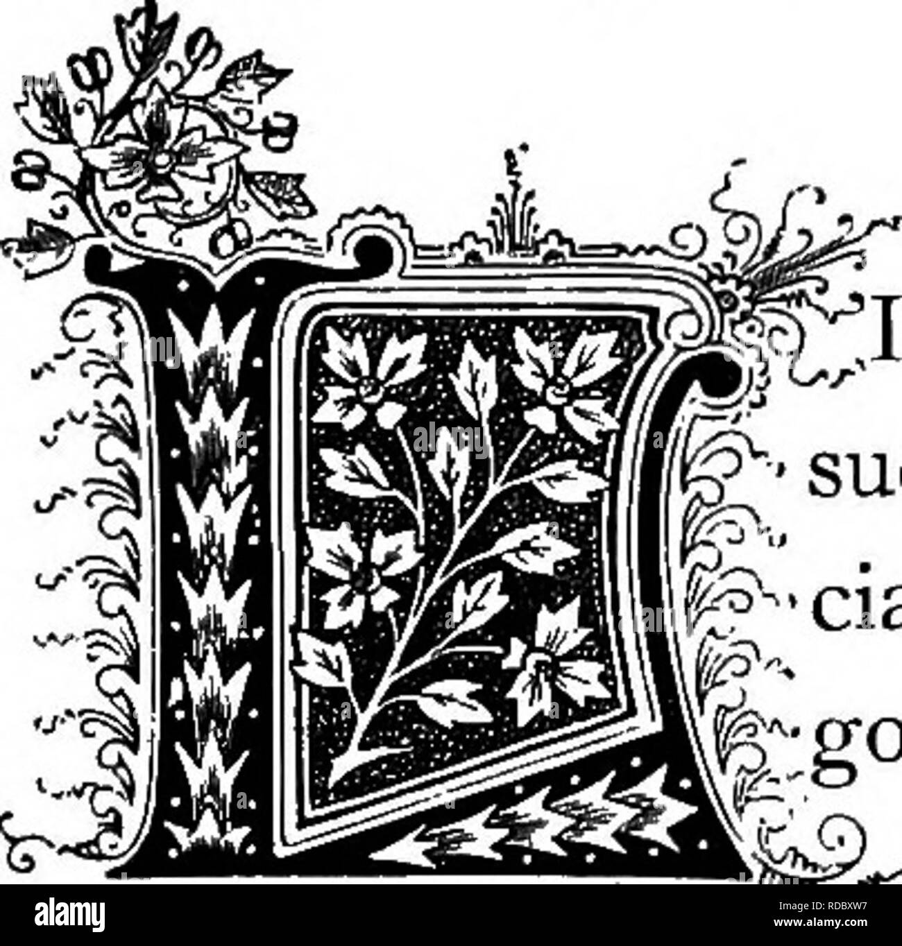 . Le Royaume floral : son histoire, le sentiment et la poésie : un dictionnaire de plus de 300 plantes, avec les genres et les familles auxquelles elles appartiennent, et la langue de chaque illustré avec les pierres précieuses à la poésie . Langage des fleurs ; les fleurs dans la littérature. ^.Ji. r-^^S ?3 |3rOS£rpinaca palustris. L'ordre naturel : Onagracece Privirose - Soirée Famille.. ^JKE tant d'autres, cette plante, qui vit dans les endroits humides, tels que les étangs, les marais et les fossés, a ses associations mythologiques, d'être nommé, c'est pensée, de Proserpine, déesse romaine '^;volés par Pluton et transmis à sa famille Banque D'Images