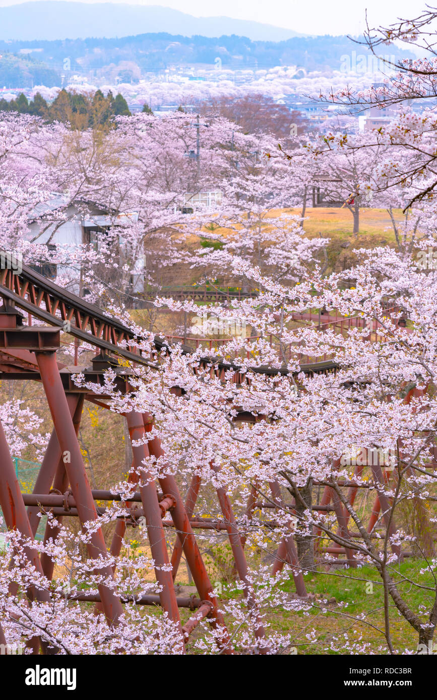 Voiture à pente Funaoka Parc du Château de Miyagi, Japon Banque D'Images