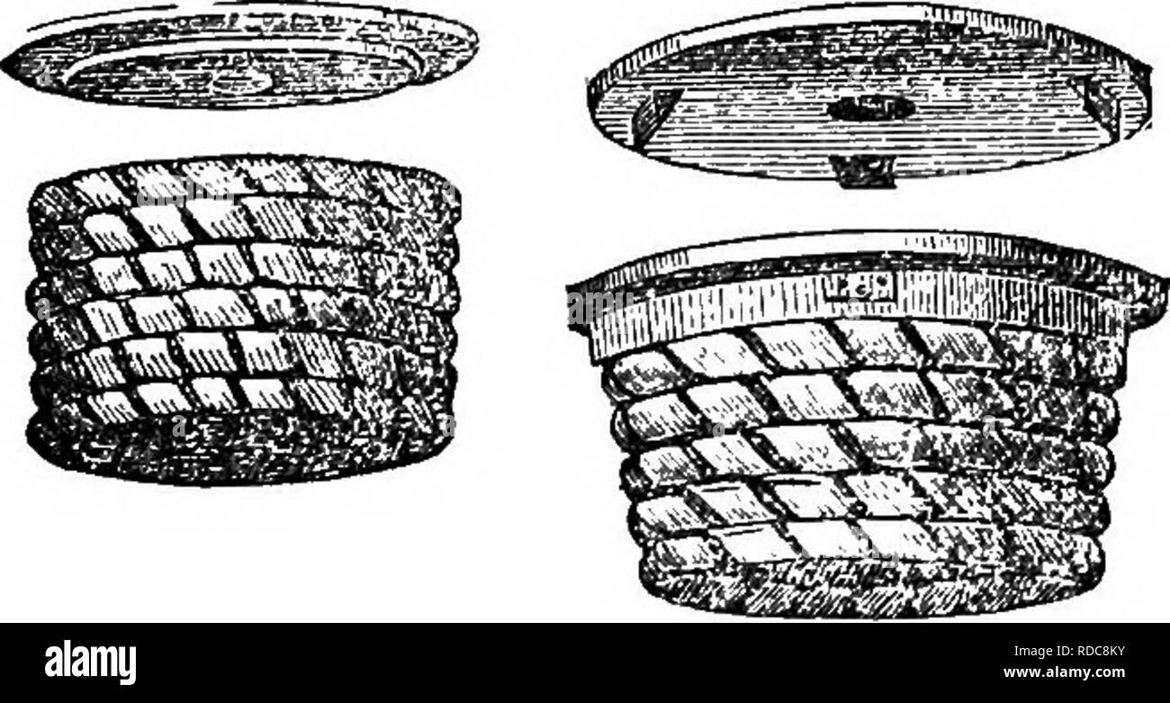 . La ruche et le miel2170 ; avec les instructions relatives à l'obtention d'un revenu annuel considérable de cette branche de l'économie rurale. ... Les abeilles. 88 LA RUCHE ET L'ABEILLE DE MIEL. Chaque image de l'autre ; nous pouvons ainsi ouvrir une feuille sans se mêler avec le reste. En prenant le miel de cette ruche, l'abeille-master a l'ensemble de l'intérieur totalement sous son oeil, et à sa disposition, et peuvent choisir ce qui convient le mieux à son pjir combs- posent, tant en quantité et qualité, en prenant garde, toutefois, à faire qu'à ces périodes que vous laissera le temps d'abeilles pour renflouer le poste vacant avant la fin de th Banque D'Images