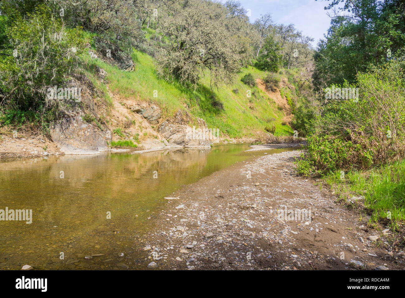 Dans le ruisseau temporaire Henry Coe State Park, Morgan Hill, Californie Banque D'Images