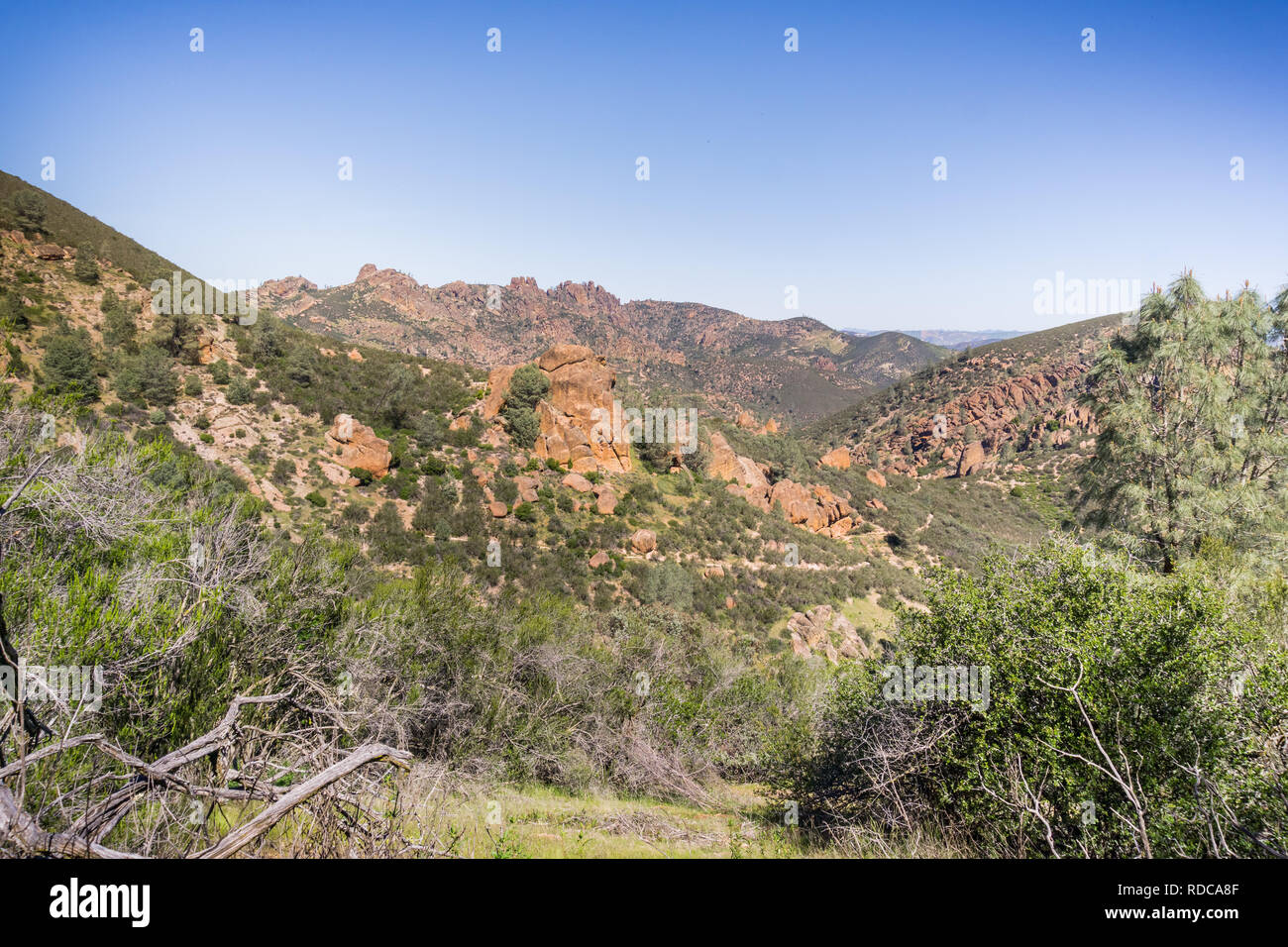 Vue vers les hauts sommets, Pinnacles National Park, Californie Banque D'Images